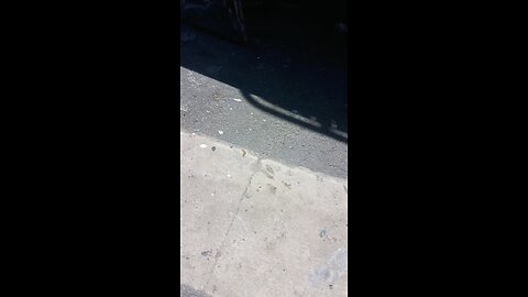 anti foul paint 101