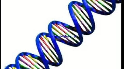 DNA and the mark of the beast 666