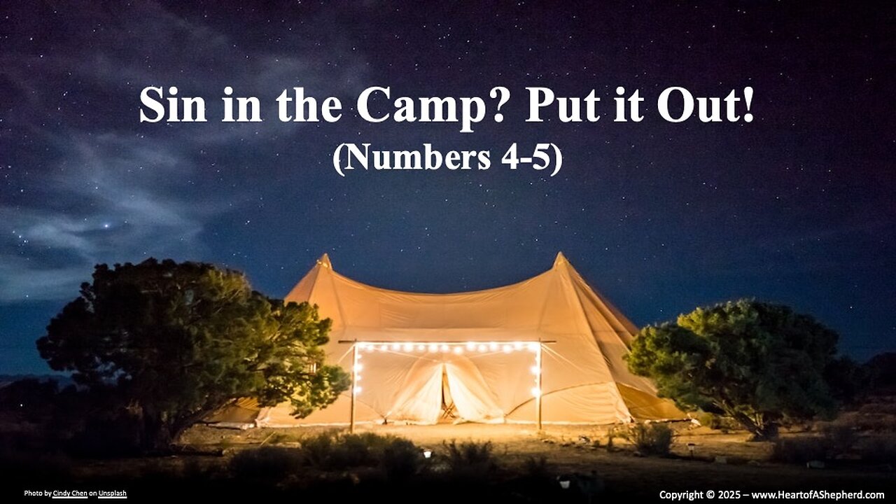Sin in the Camp? Put it Out! (Numbers 4-5) – A daily Bible study from www.HeartofAShepherd.com.
