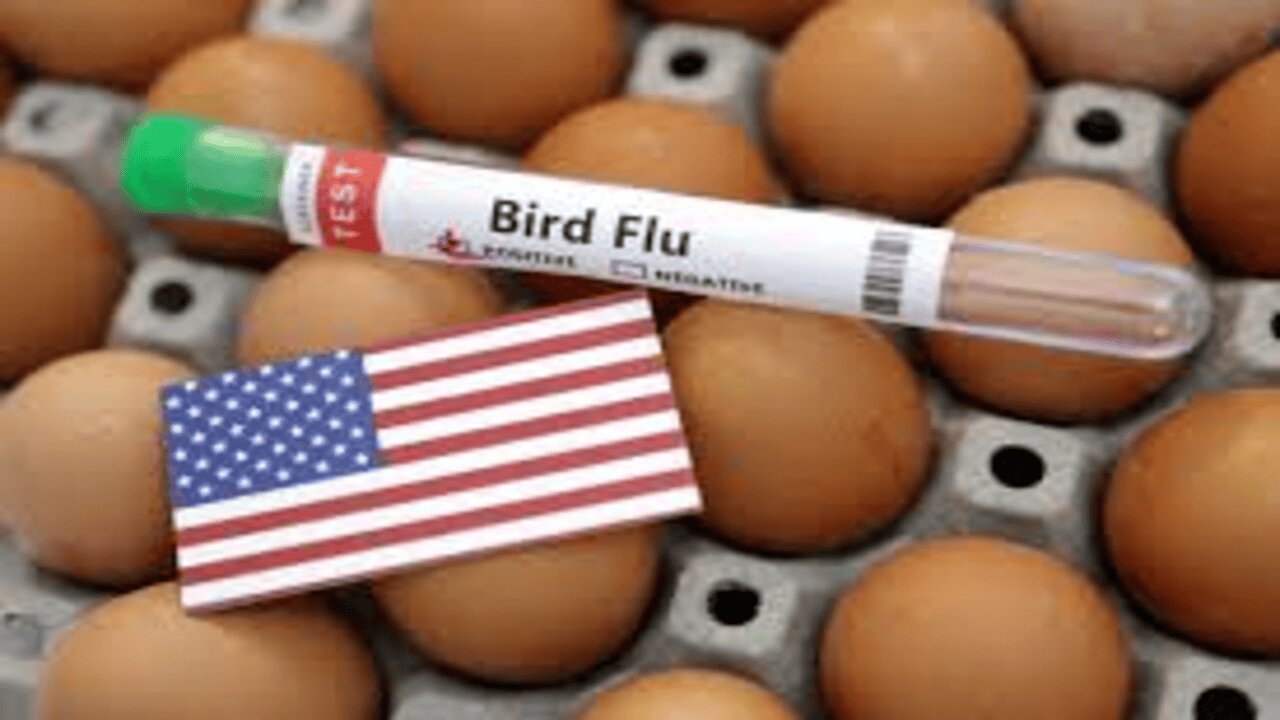 Experts Issue Terrifying Warning to America: Prepare For Pandemic As New Virus Spreads to All States
