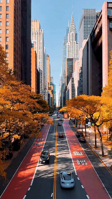 Magical New York Peace Vibes