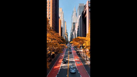 Magical New York Peace Vibes