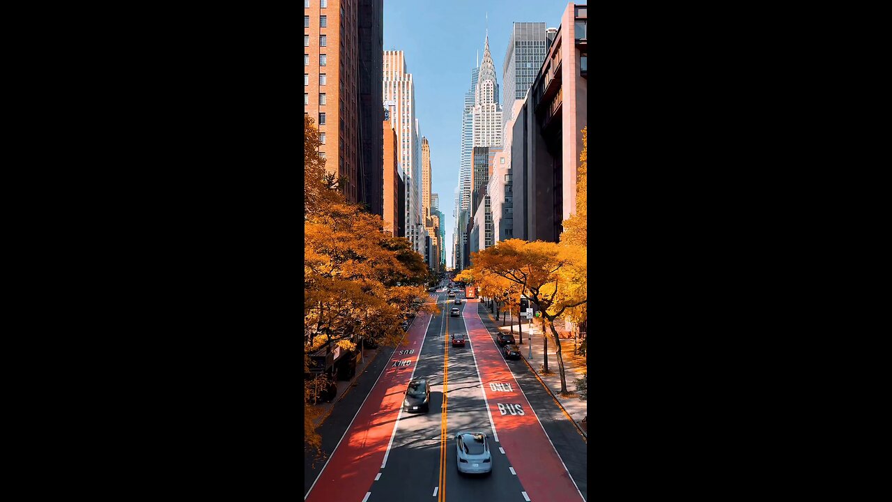 Magical New York Peace Vibes