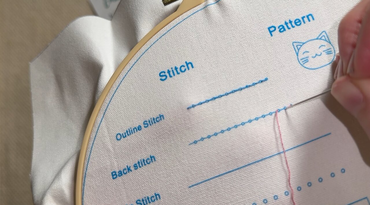 Embroidery (Lesson 2): Back Stitch
