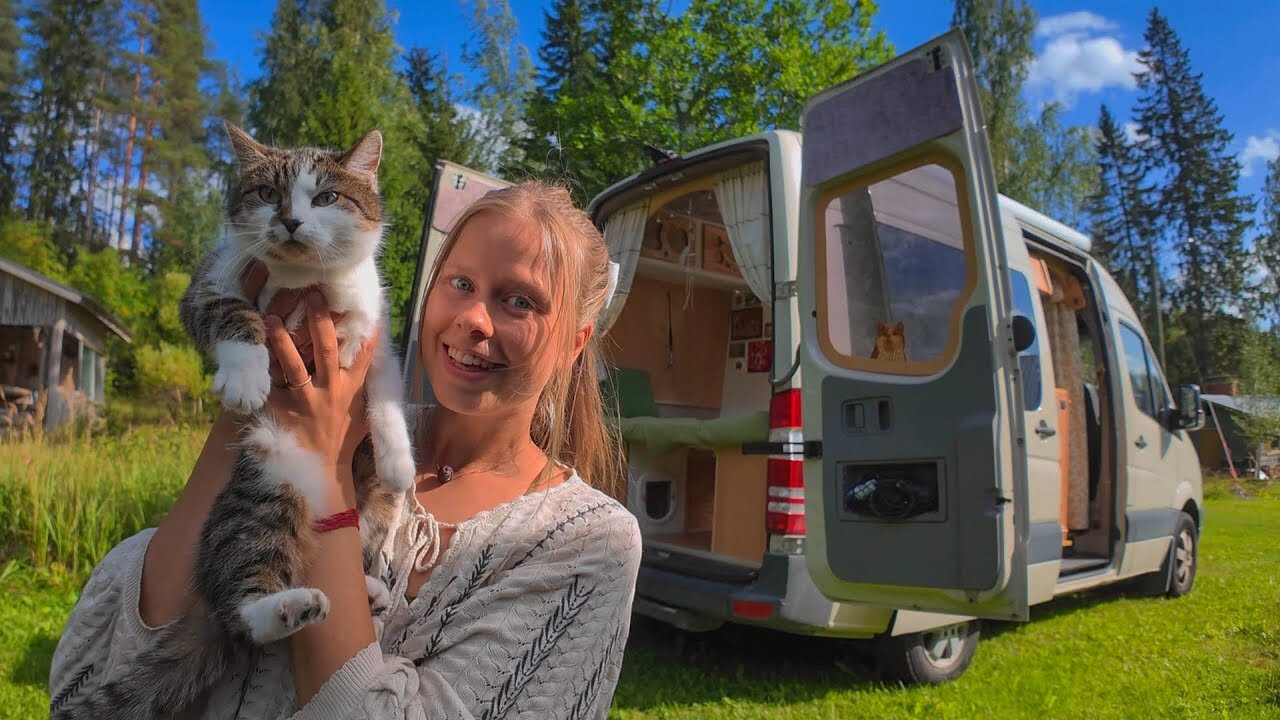 Vanlife in Finland with a Cat