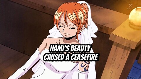 Nami’s Beauty Caused a Ceasefire