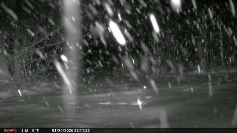 Southern Illinois Snow Storm 01 24 2026 Vernon, Illinois Deer Cam Game Cam Trail Camera