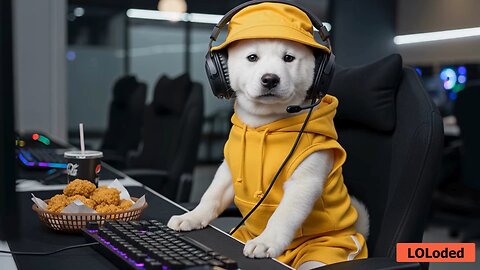 Cute Jindo Dog's Solo Seoul Adventure: Will Konggu Have the Time of His Life? 🐶🌆😄