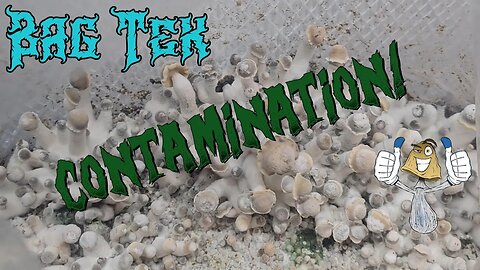 Bag Tek Contamination | Massive Outbreak!