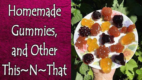 Homemade Gummies and Other This~N~That