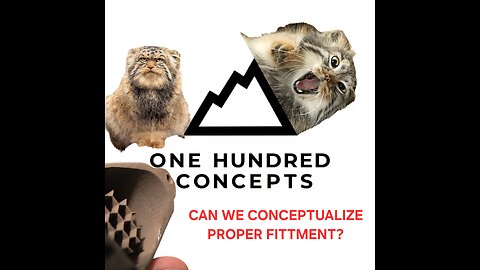 ONE HUNDRED CONCEPTS