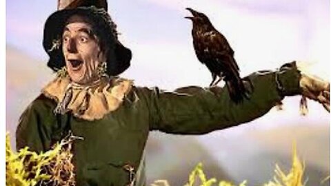 "Unlock the Magic: A Comprehensive Guide to Entering OZ 15 for First-Timers"