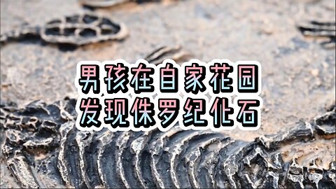 男孩在自家花园里发现侏罗纪化石