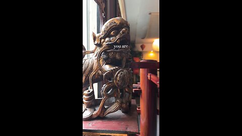 Wing Chun Den Haag 👉 wudae.com 👉 Body & Mind Connection 💥 Kung Fu 💥 Free Trial class