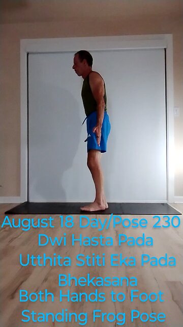 Dwi Hasta Pada Utthita Stiti Eka Pada Bhekasana / Two handed standing half frog pose