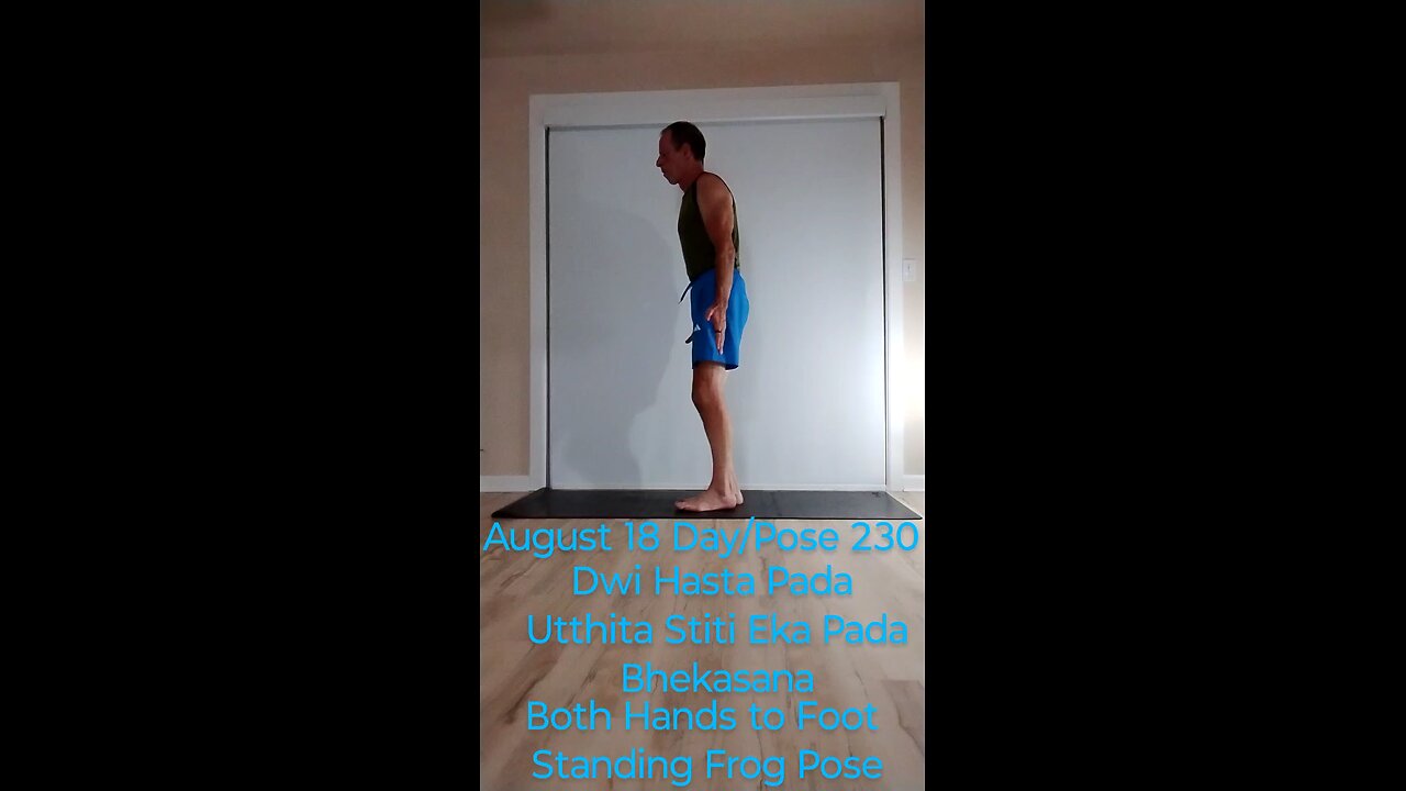 Dwi Hasta Pada Utthita Stiti Eka Pada Bhekasana / Two handed standing half frog pose