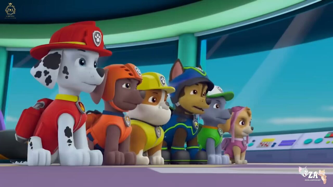 PAW Patrol Cartoons