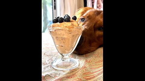 🐾 Healthy Blueberry Pup-accino – A Homemade Dog Treat Your Pup Will Love
