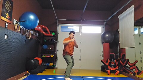 WTD 2 Step Kick Combination 102