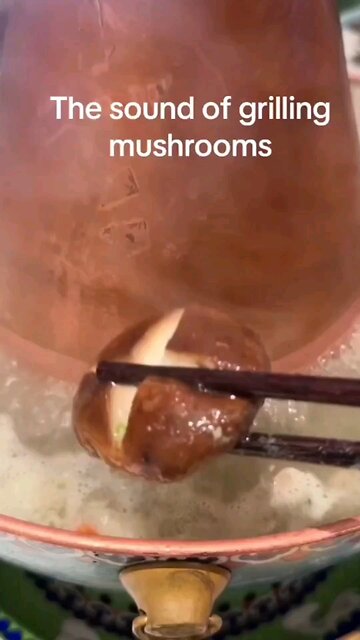 mushrooms are alive😶‍🌫️