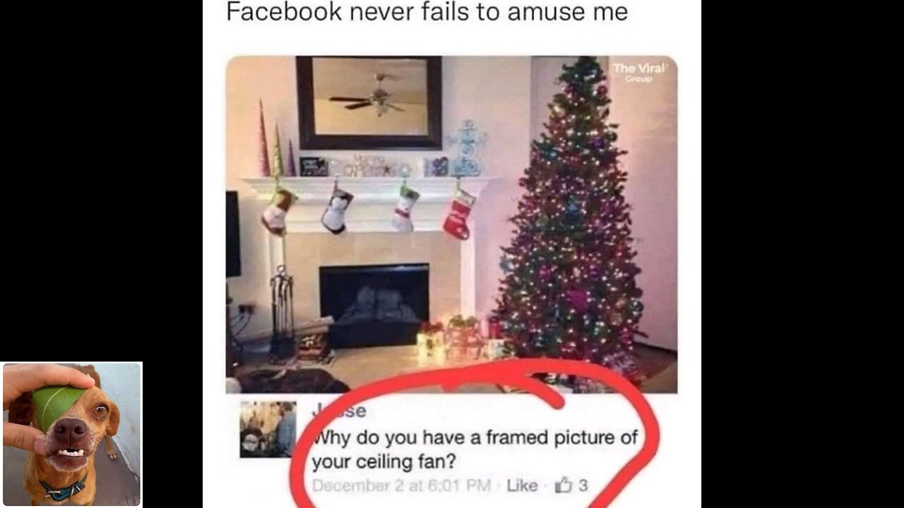 Memes That Will 99.0580% Make You Laugh. (e804)