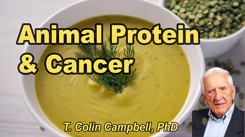 How Animal Protein Turns Cancer On and Off