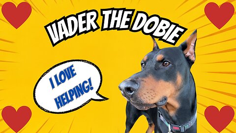 Doberman Daddy Helps A Domestic Violence Victim