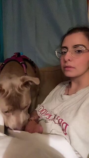 😍😍😘🔥 😍💦 FUNNY Animals and pet's💕😘 😘🔥 💕😘 😍💦 💦