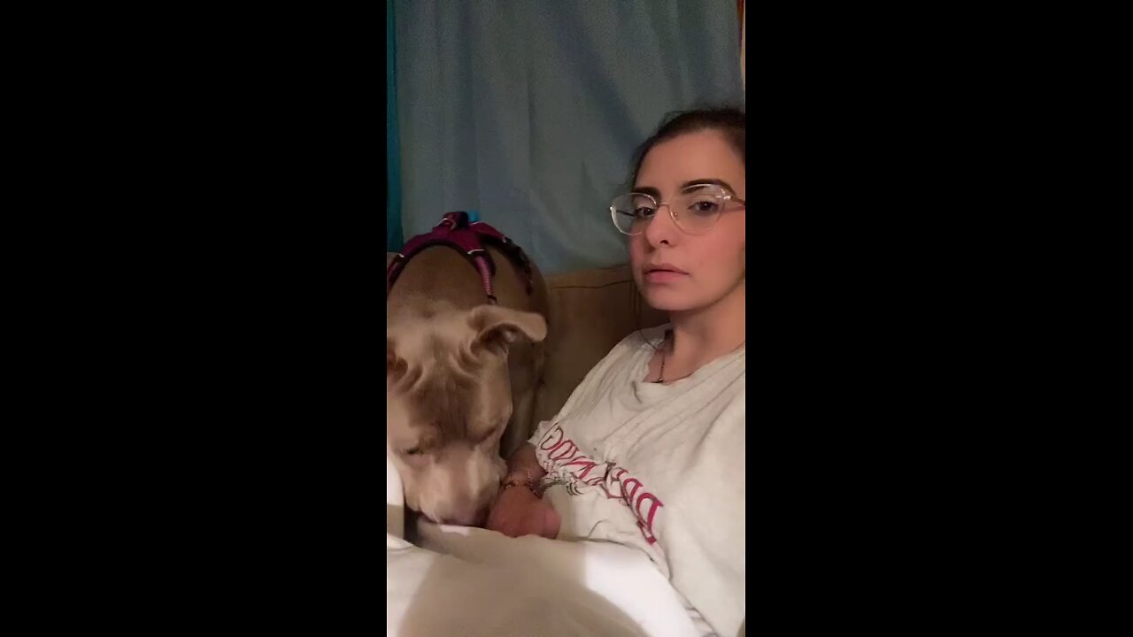 😍😍😘🔥 😍💦 FUNNY Animals and pet's💕😘 😘🔥 💕😘 😍💦 💦