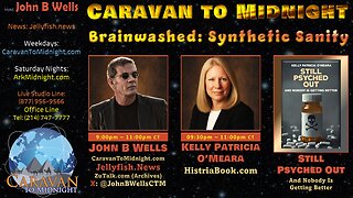 Brainwashed: Synthetic Sanity - John B Wells LIVE