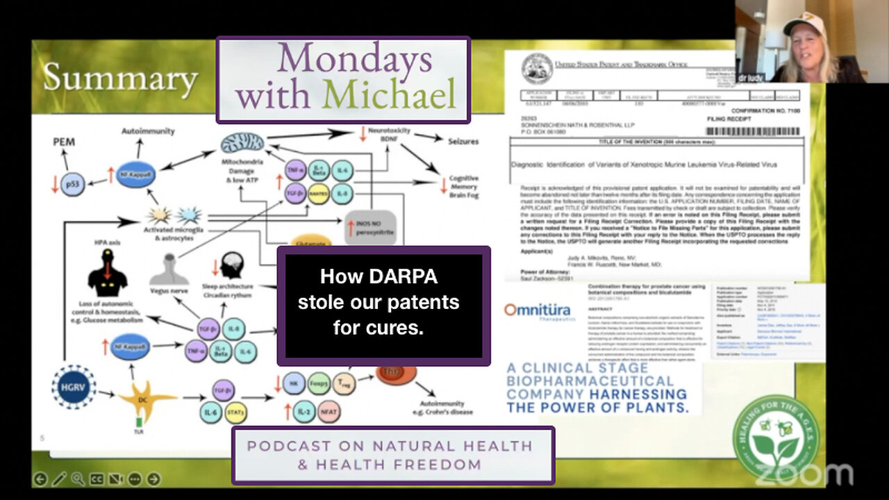 How DARPA stole our patents for cures.