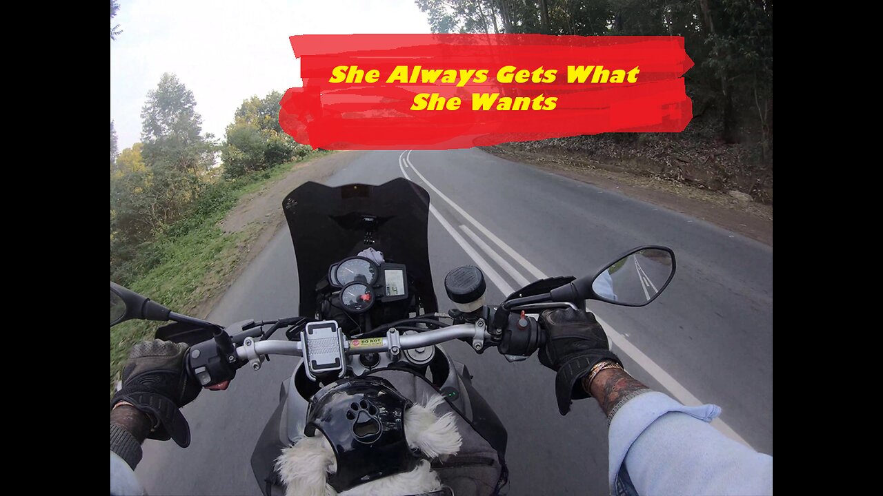 Prime Circle - She Always Gets What She Wants