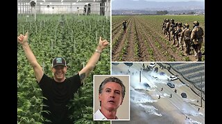 REVEALED: California pot farm owner's ties to Newsom