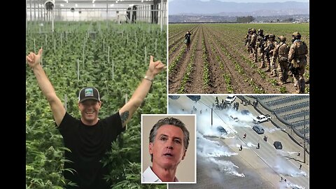 REVEALED: California pot farm owner's ties to Newsom