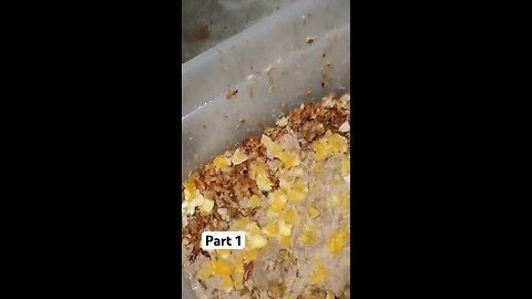 Prison Alcohol Tutorial Part 1 🥃