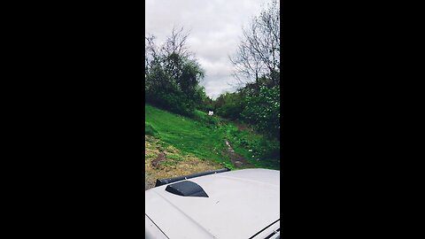 Jeep rescues Ford t350
