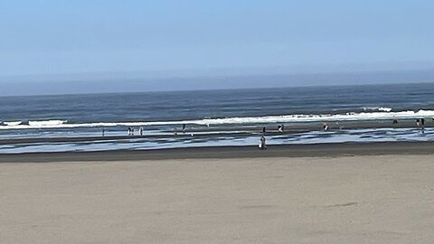 The bible reading of the day the Old Testament series Numbers 31:25-54