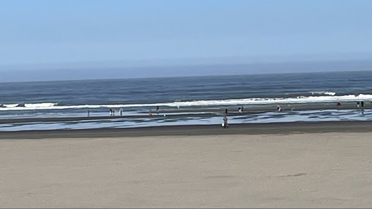 The bible reading of the day the Old Testament series Numbers 31:25-54