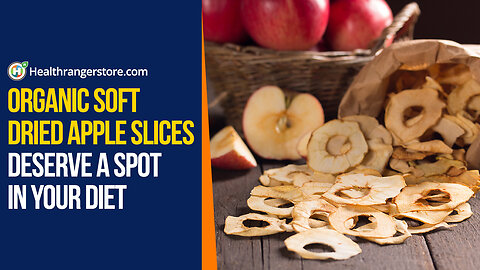 Organic Soft Dried Apple Slices deserve a spot in your diet