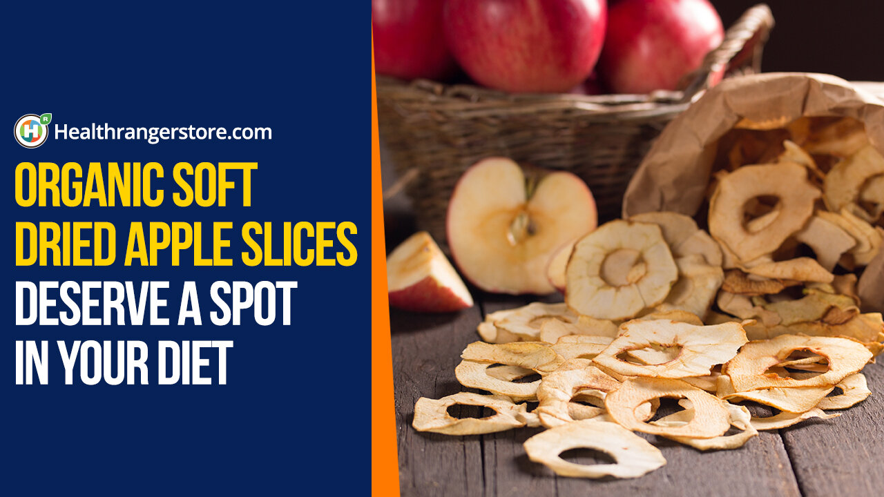 Organic Soft Dried Apple Slices deserve a spot in your diet