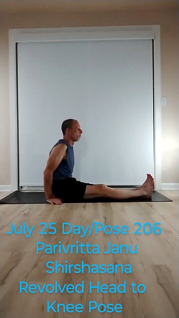 Parivritta Janu Shirshasana / Revolved Head to Knee Pose