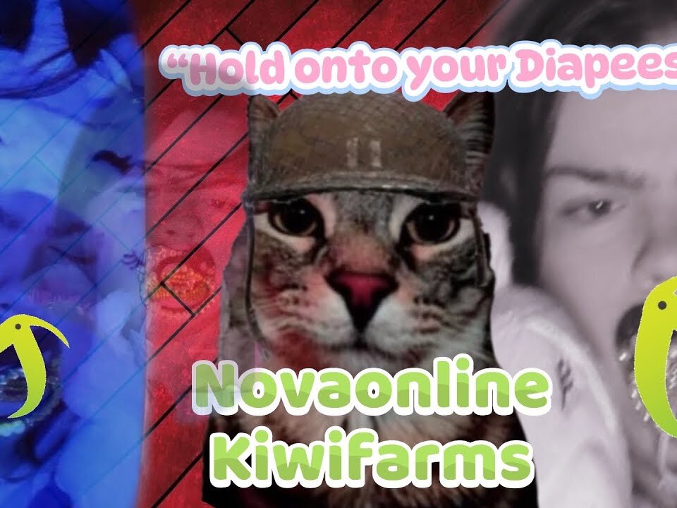 Nova Online Kiwi Farms Reading