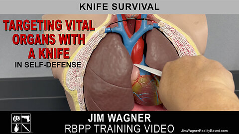 Targeting Vital Organs With A Knife by Jim Wagner