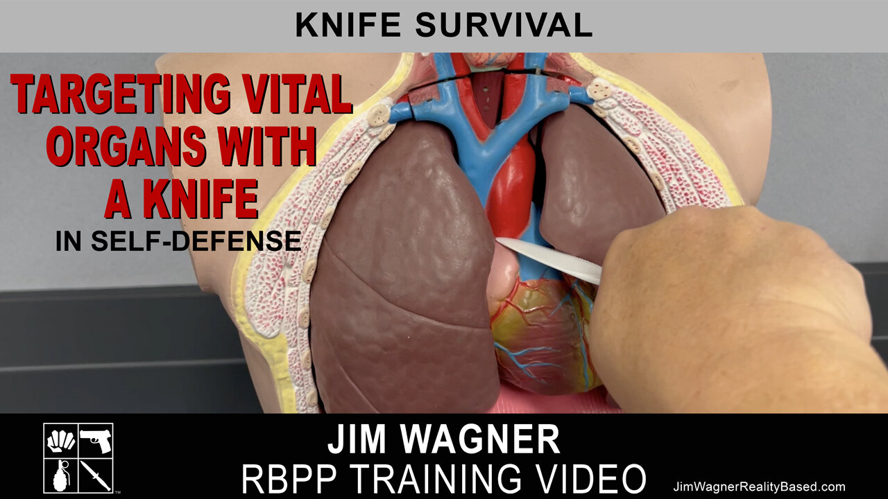 Targeting Vital Organs With A Knife by Jim Wagner