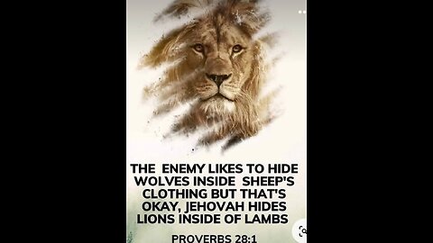 NAAMAN AND GEHAZI - 1.4.26