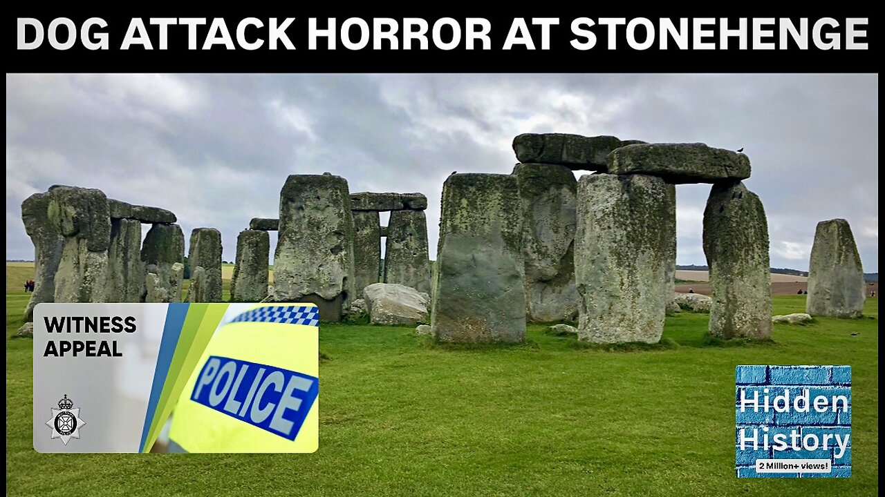 Horror at Stonehenge as flock of sheep ‘savaged’ - witnesses sought