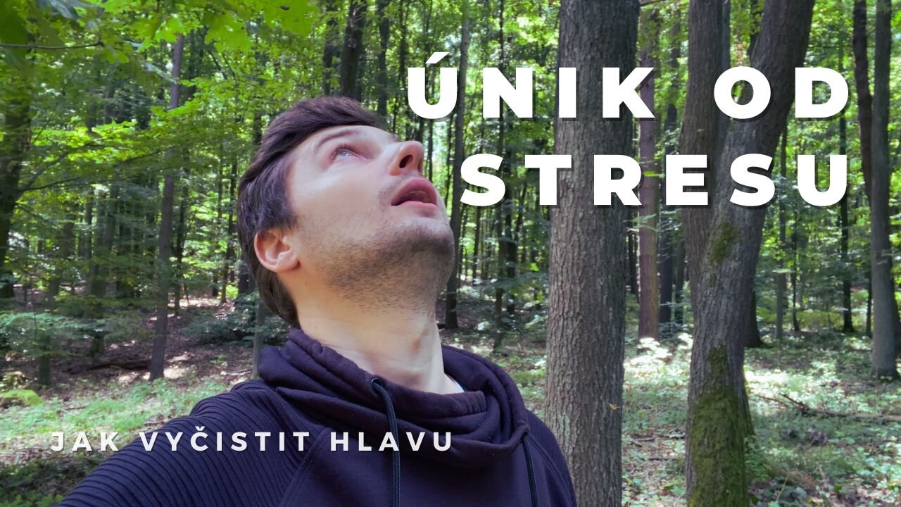 Jak si vyčistit hlavu: Les jako nejlepší únik od stresu