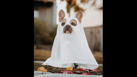 CANDY MONSTER