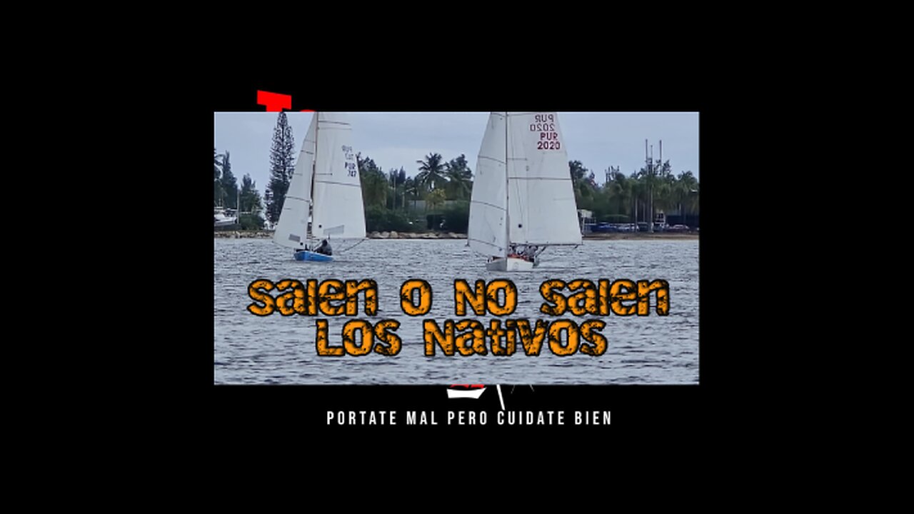 Los Nativos Salen o No Salen A Regatiar