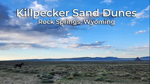 Killpecker Sand Dunes